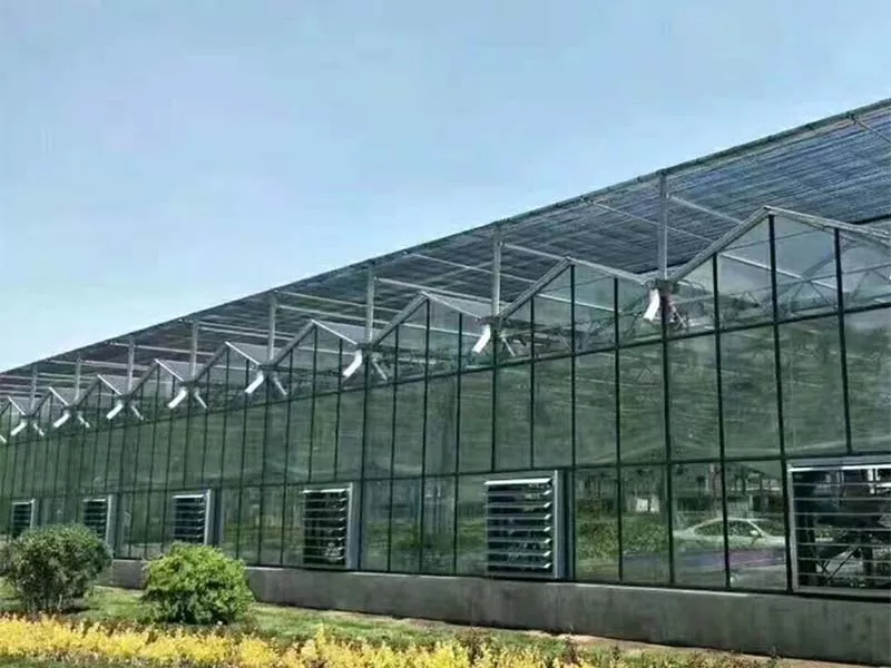 Kakšne pridelke lahko gojimo na jekleni navpični kmetiji?